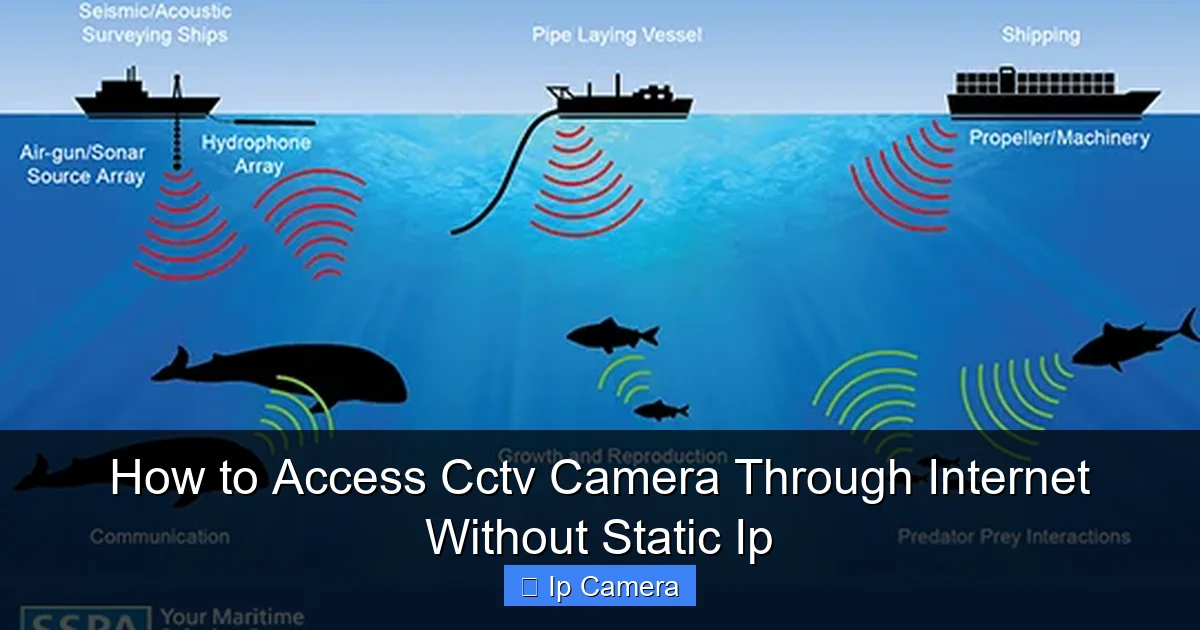 How to Access Cctv Camera Through Internet Without Static Ip