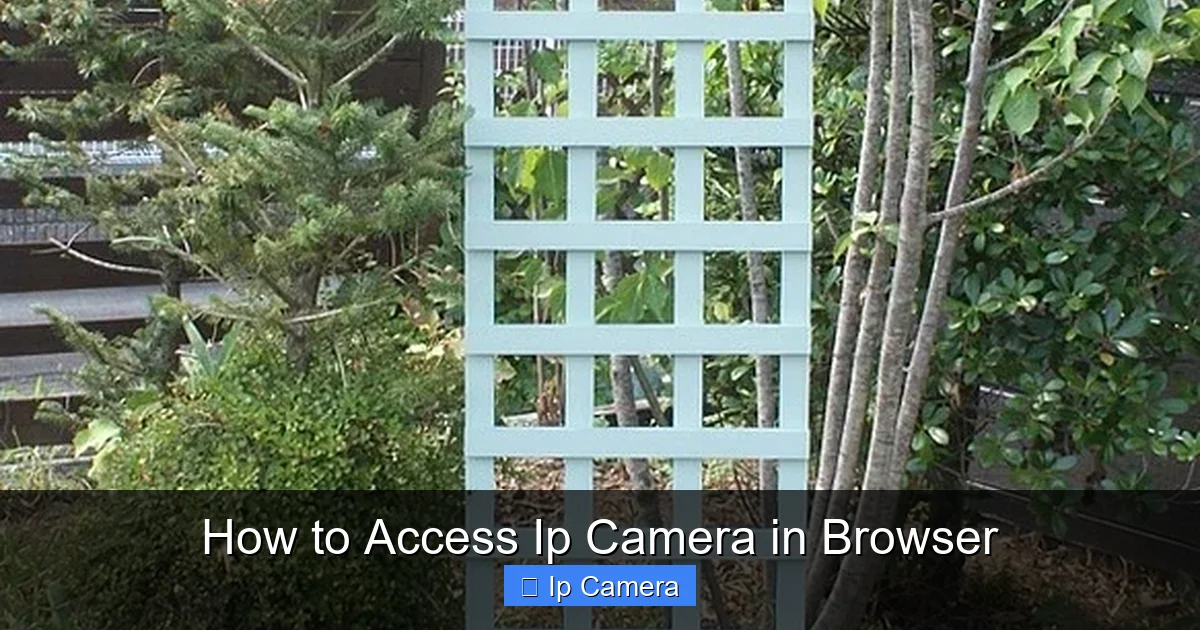 How to Access Ip Camera in Browser