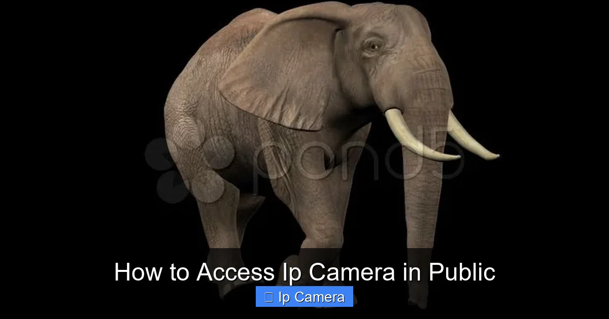 How to Access Ip Camera in Public