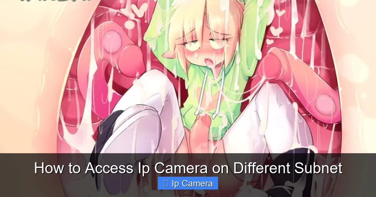 How to Access Ip Camera on Different Subnet