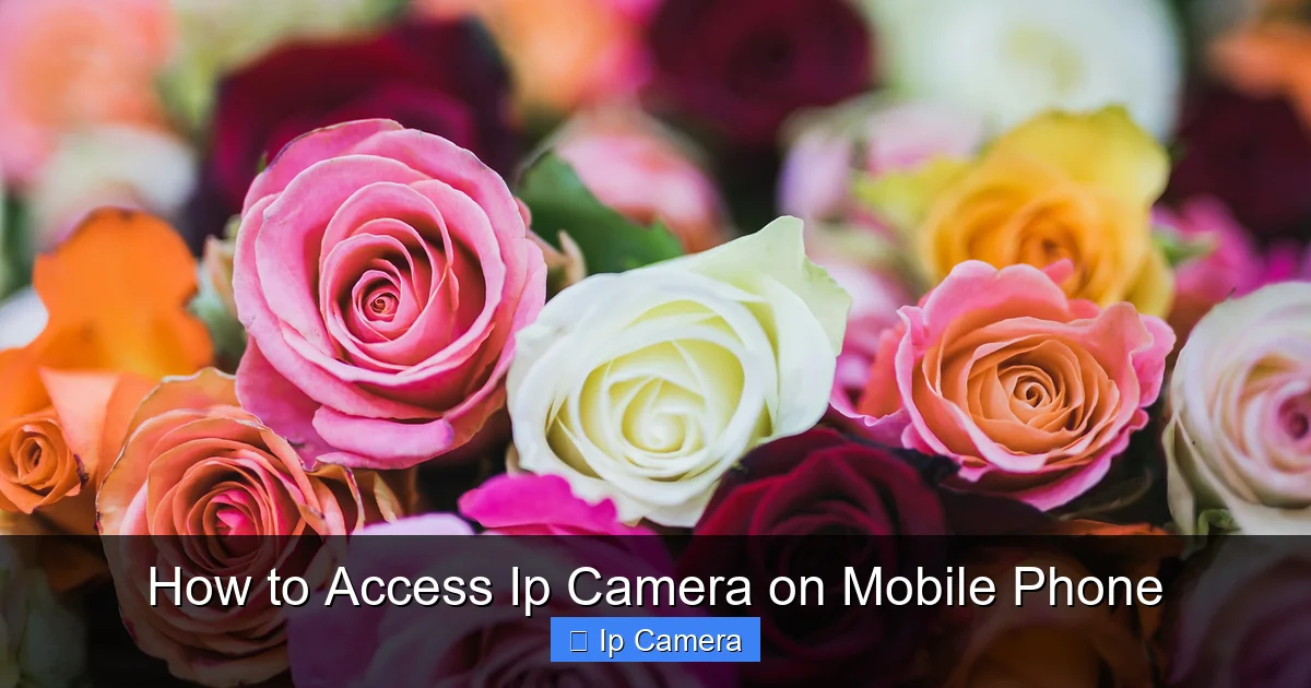How to Access Ip Camera on Mobile Phone