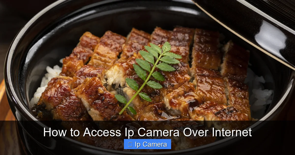 How to Access Ip Camera Over Internet