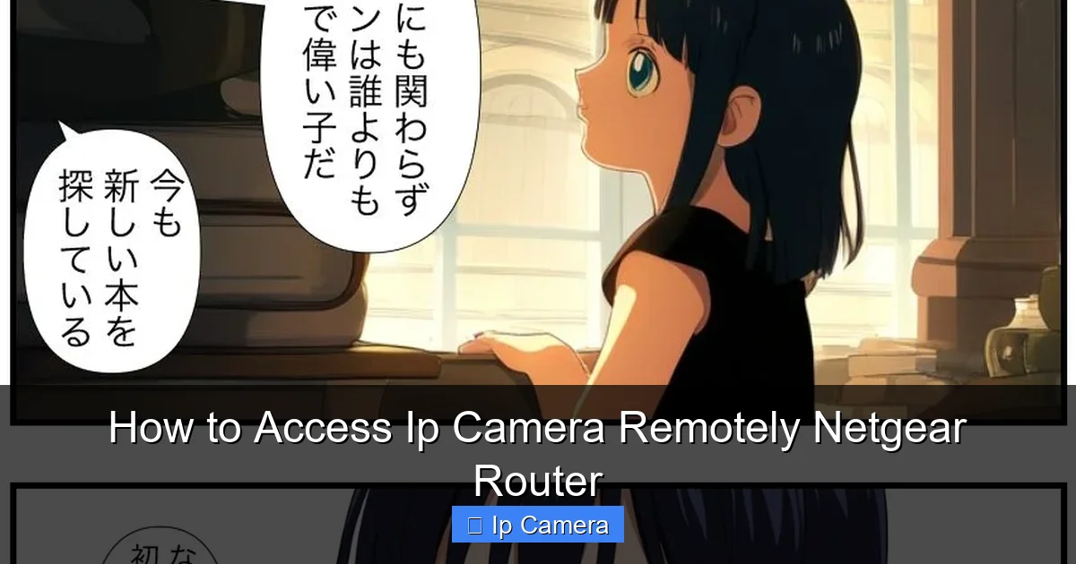 How to Access Ip Camera Remotely Netgear Router