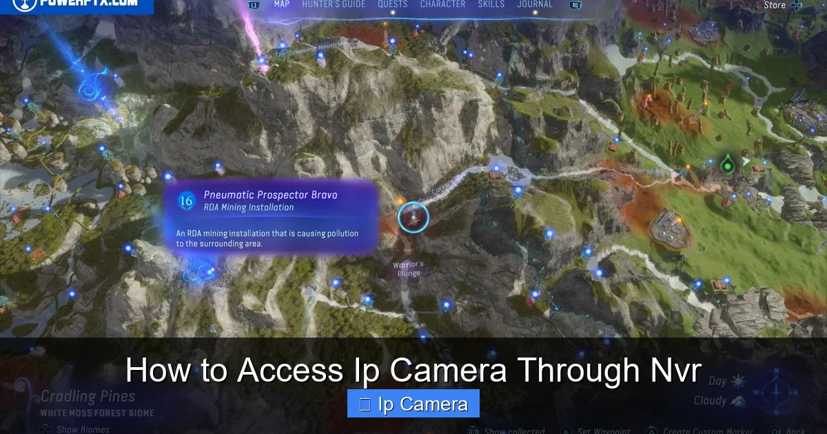 How to Access Ip Camera Through Nvr