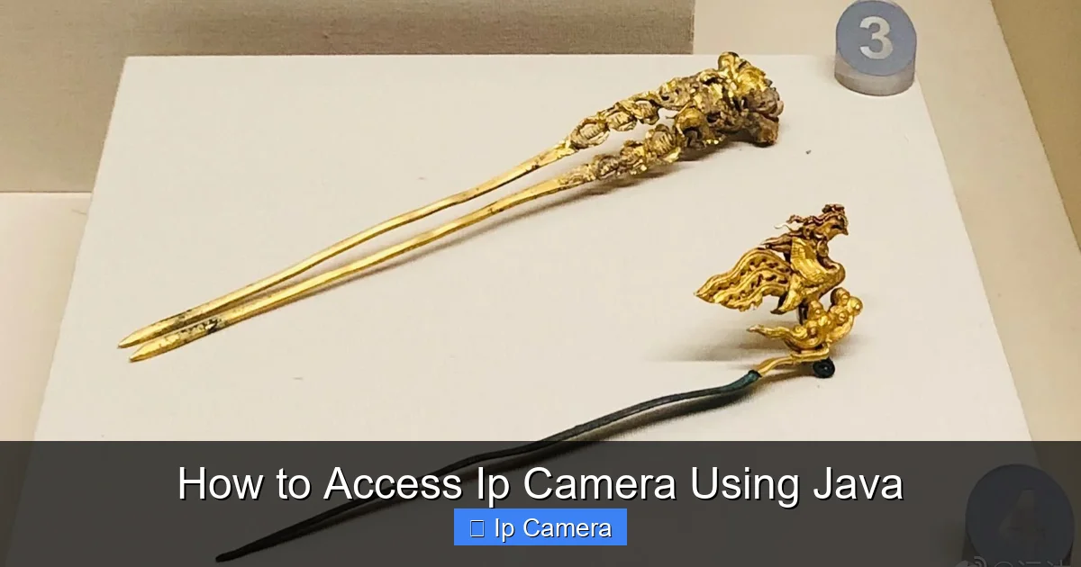 How to Access Ip Camera Using Java
