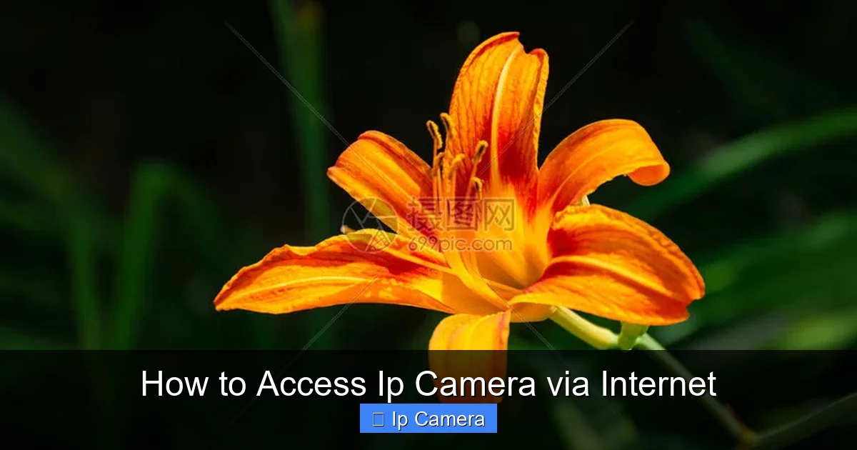 How to Access Ip Camera via Internet
