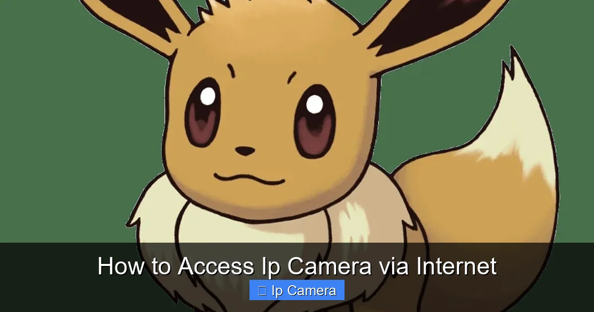 How to Access Ip Camera via Internet