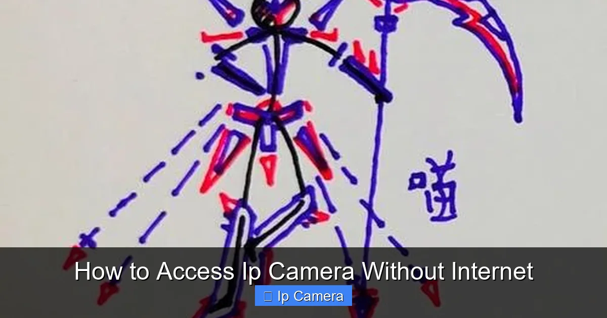 How to Access Ip Camera Without Internet