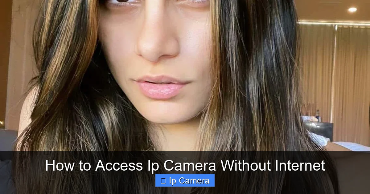 How to Access Ip Camera Without Internet
