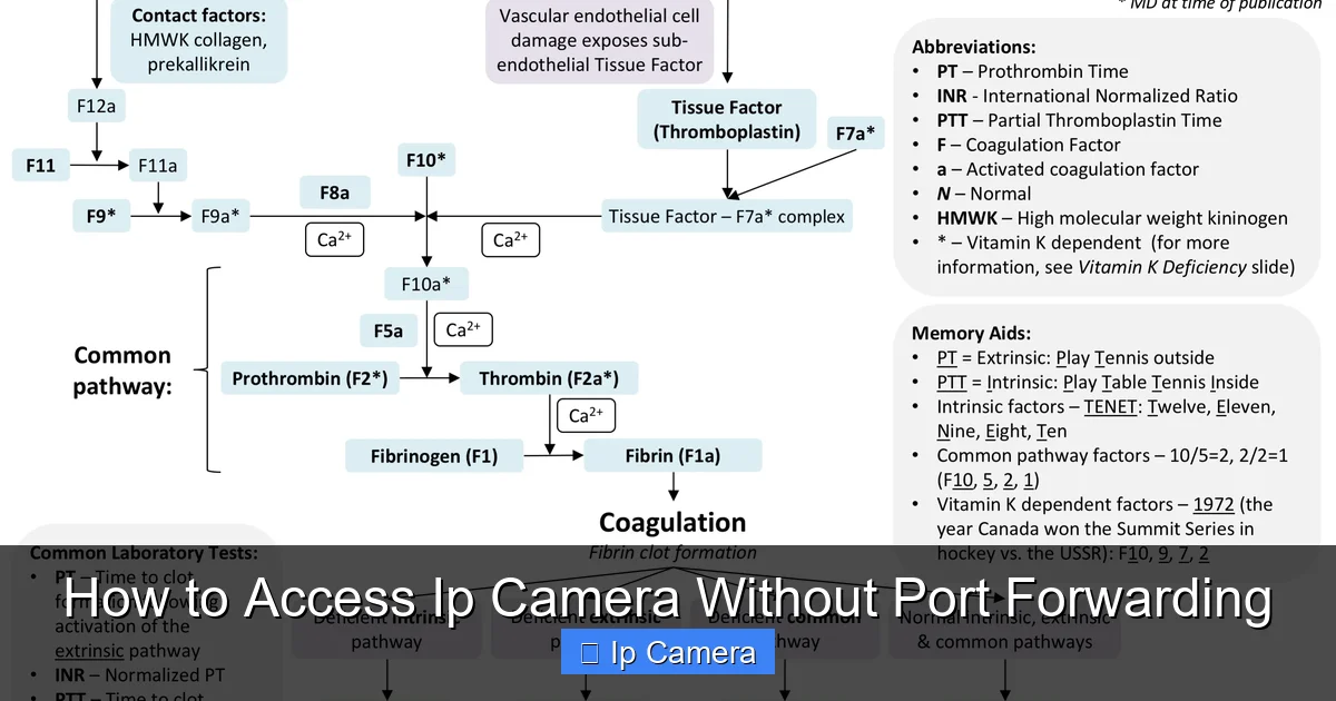 How to Access Ip Camera Without Port Forwarding