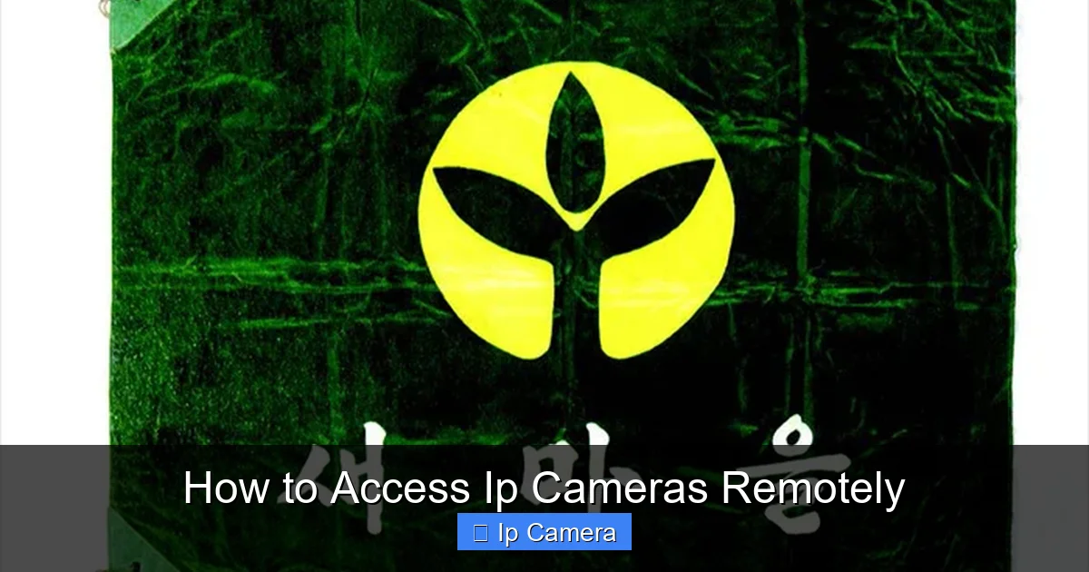 How to Access Ip Cameras Remotely