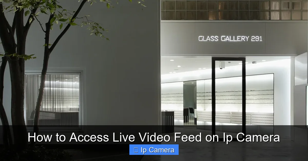 How to Access Live Video Feed on Ip Camera