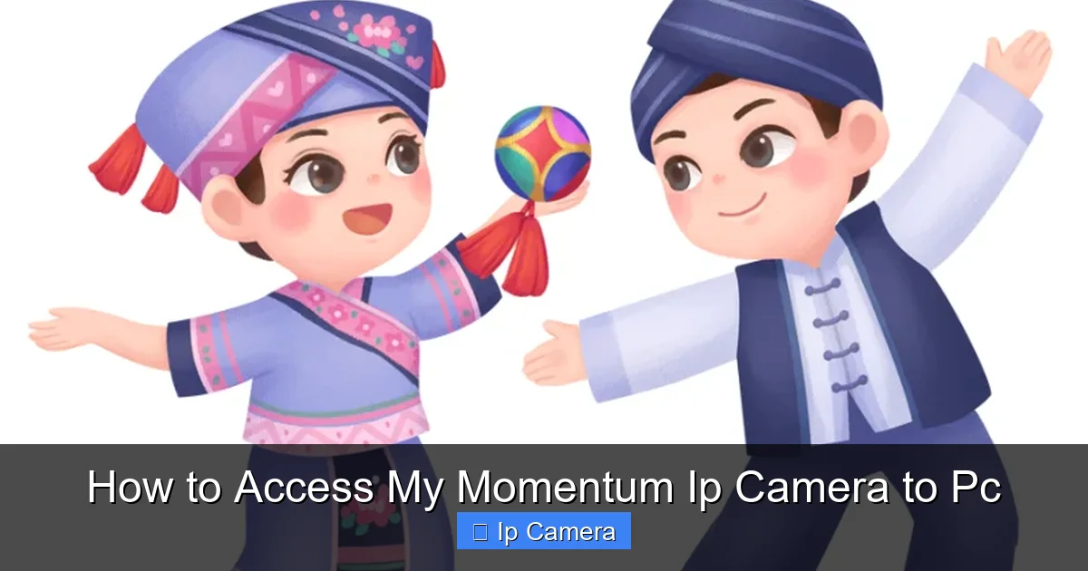 How to Access My Momentum Ip Camera to Pc