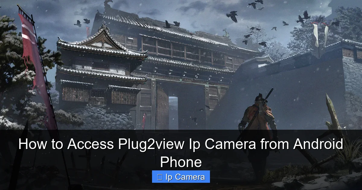 How to Access Plug2view Ip Camera from Android Phone