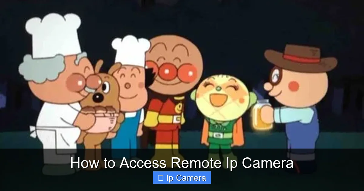 How to Access Remote Ip Camera