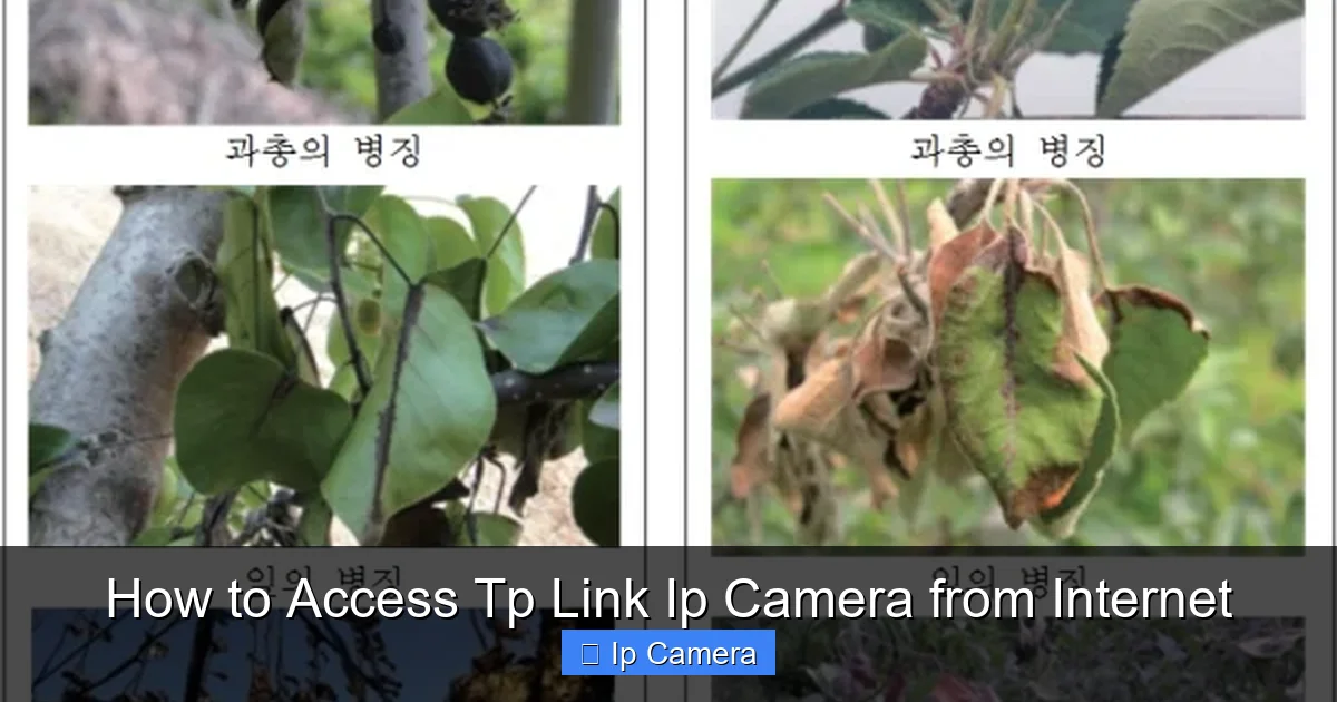 How to Access Tp Link Ip Camera from Internet