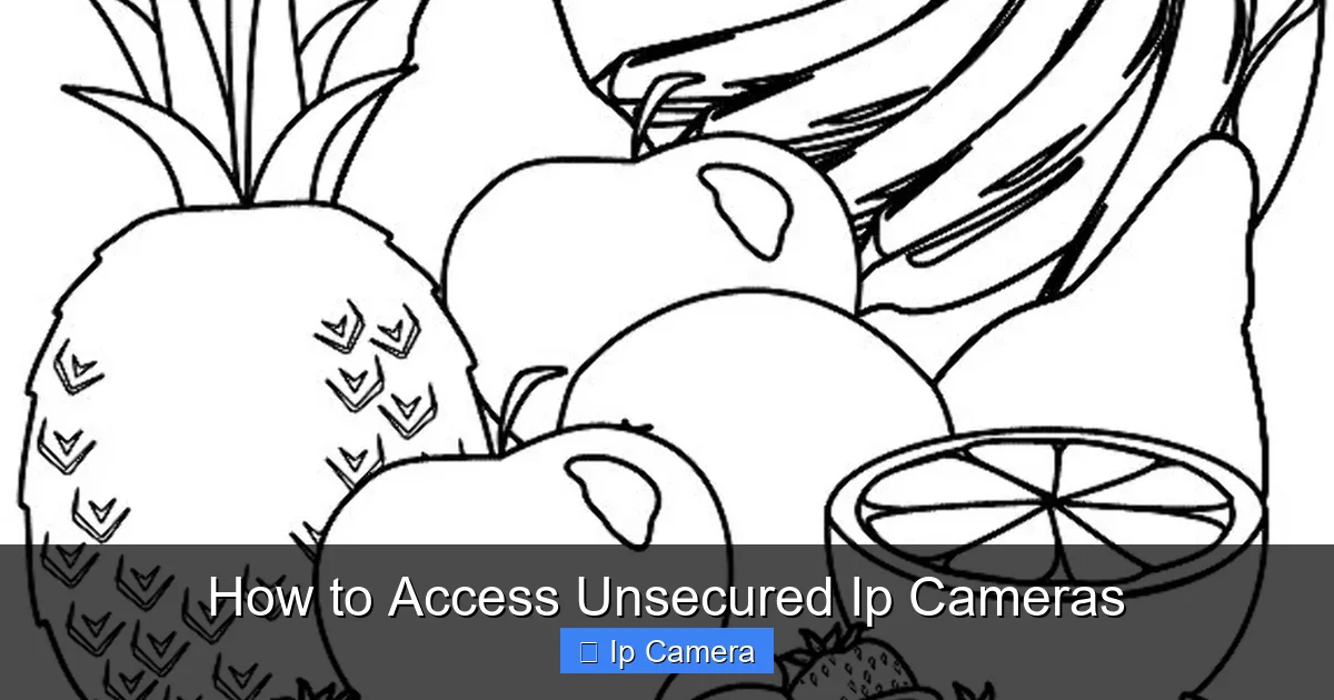 How to Access Unsecured Ip Cameras