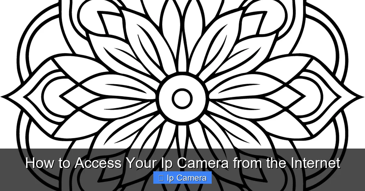 How to Access Your Ip Camera from the Internet