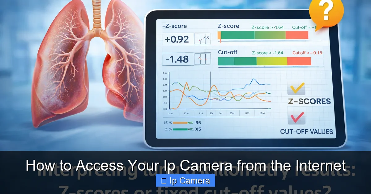 How to Access Your Ip Camera from the Internet