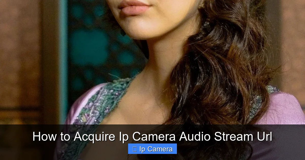 How to Acquire Ip Camera Audio Stream Url