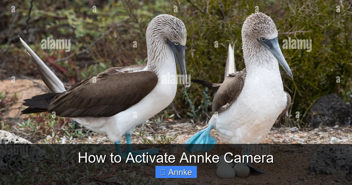 How to Activate Annke Camera