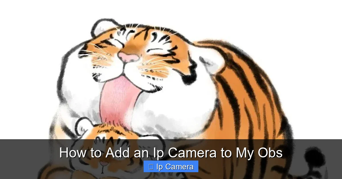 How to Add an Ip Camera to My Obs