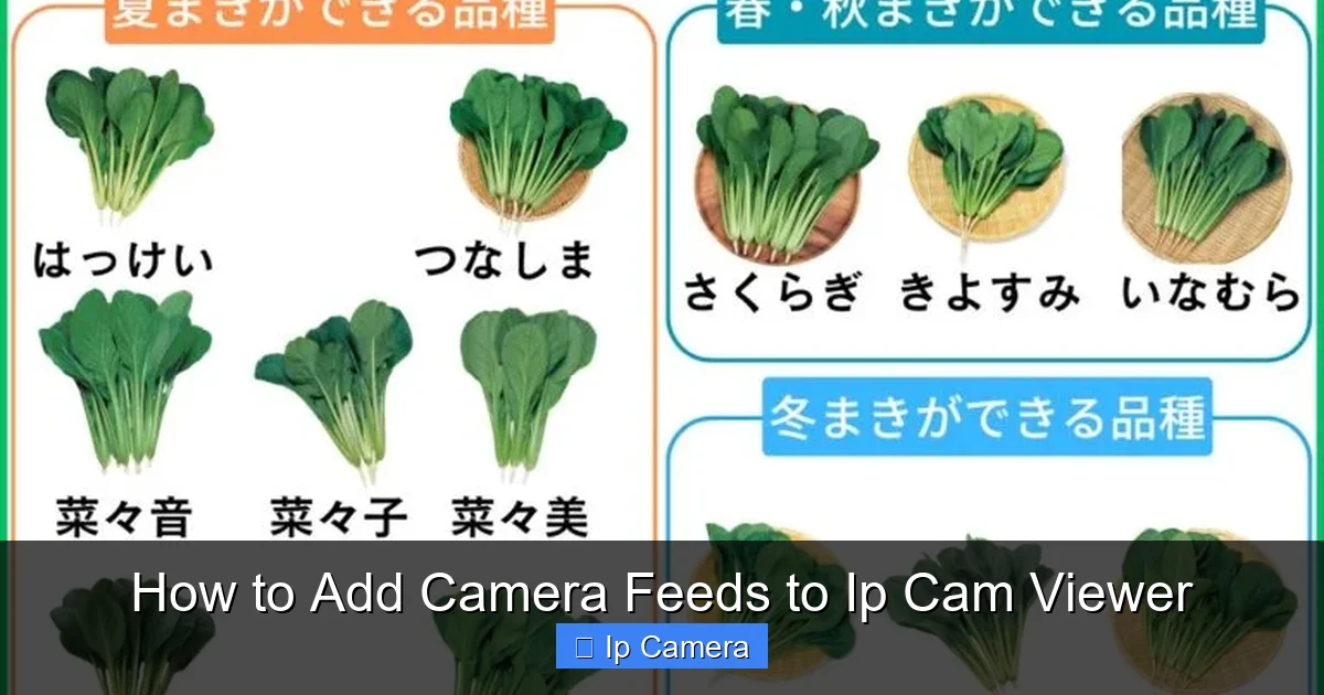 How to Add Camera Feeds to Ip Cam Viewer