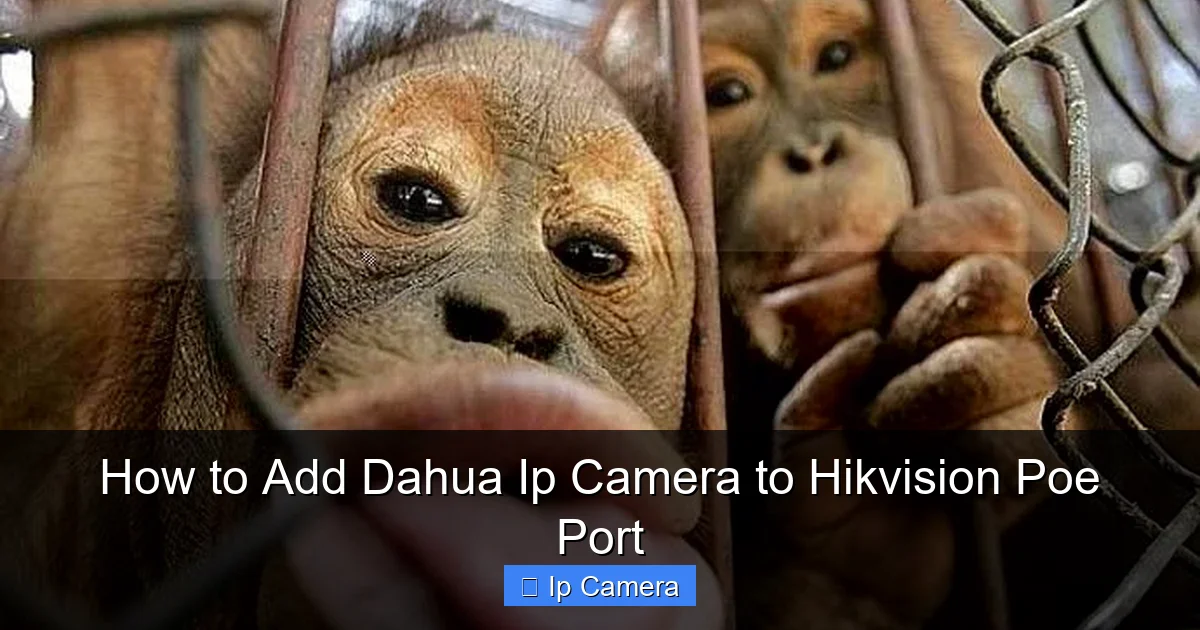 How to Add Dahua Ip Camera to Hikvision Poe Port