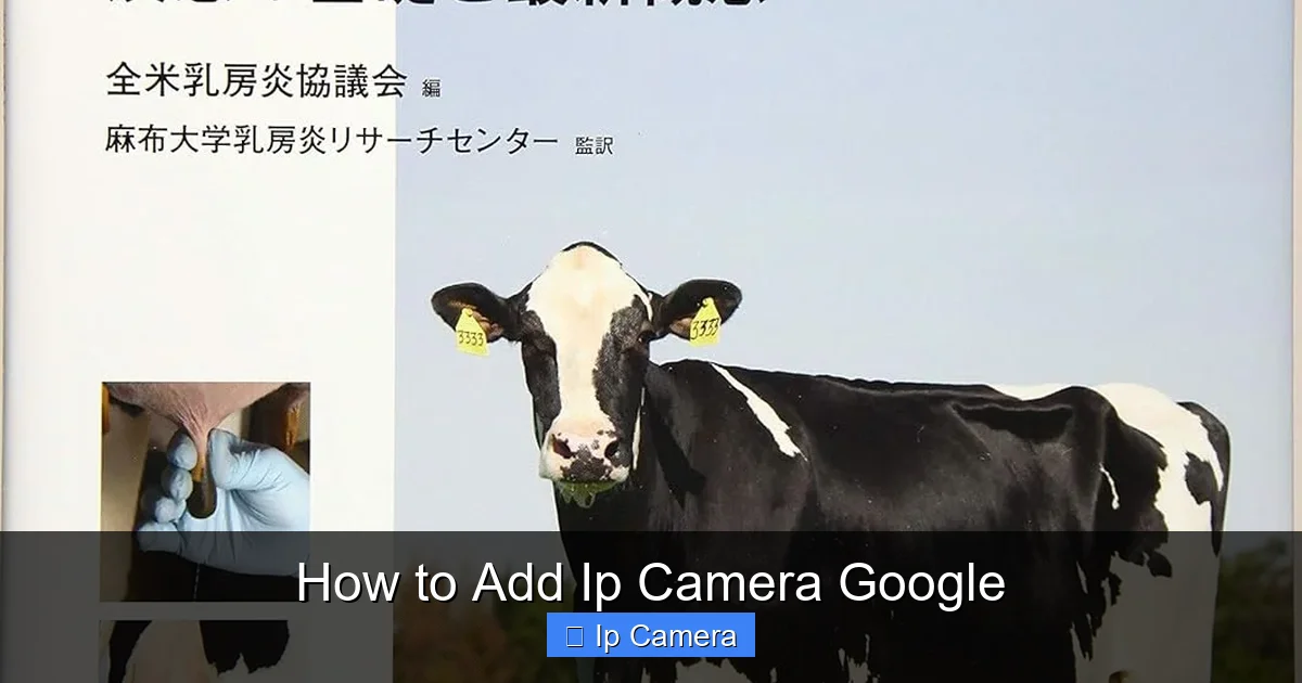 How to Add Ip Camera Google