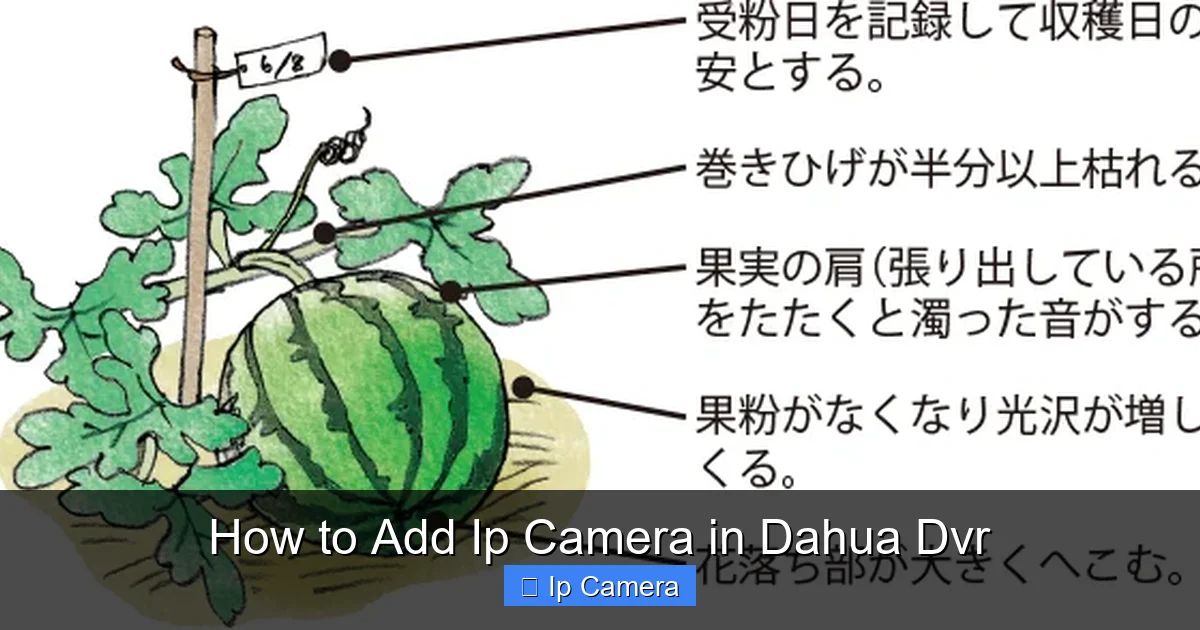 How to Add Ip Camera in Dahua Dvr