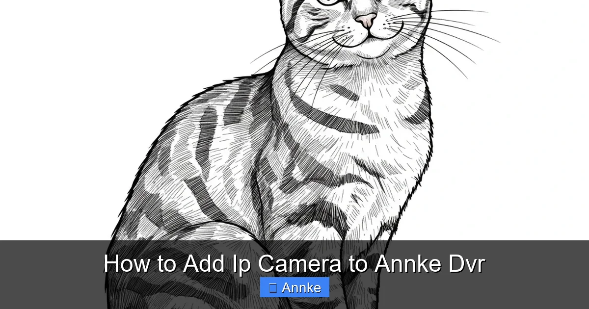 How to Add Ip Camera to Annke Dvr