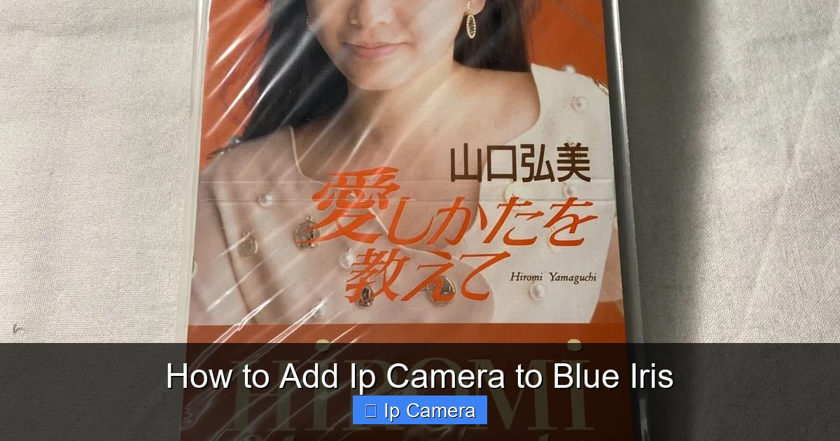How to Add Ip Camera to Blue Iris