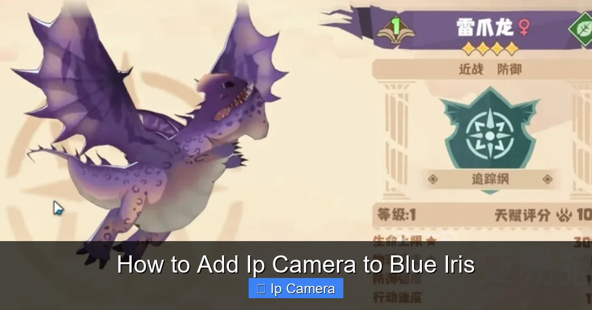 How to Add Ip Camera to Blue Iris