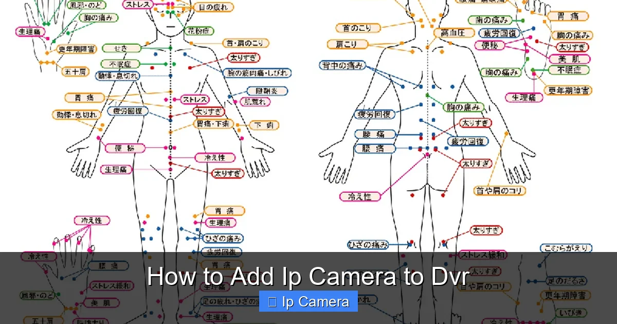 How to Add Ip Camera to Dvr