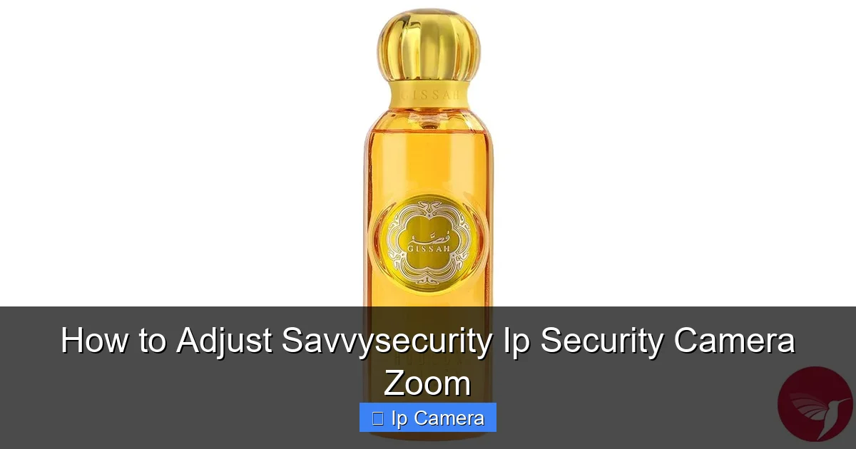 How to Adjust Savvysecurity Ip Security Camera Zoom