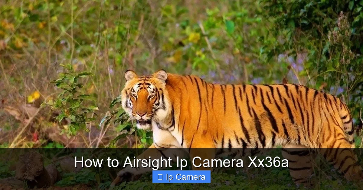 How to Airsight Ip Camera Xx36a