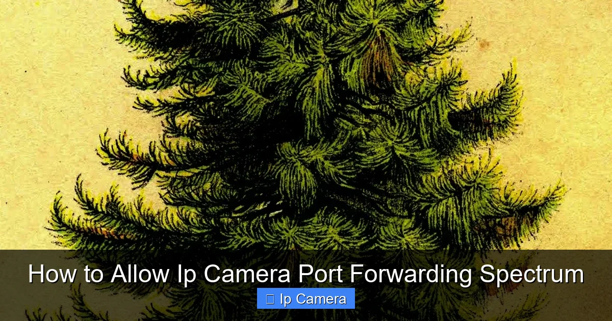 How to Allow Ip Camera Port Forwarding Spectrum