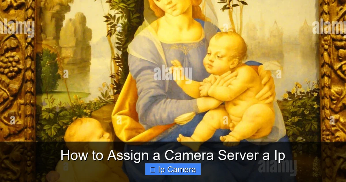 How to Assign a Camera Server a Ip