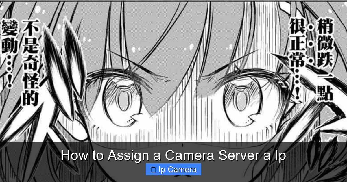 How to Assign a Camera Server a Ip