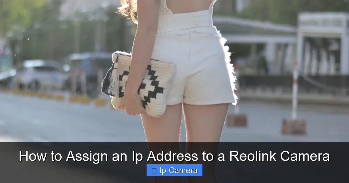 How to Assign an Ip Address to a Reolink Camera