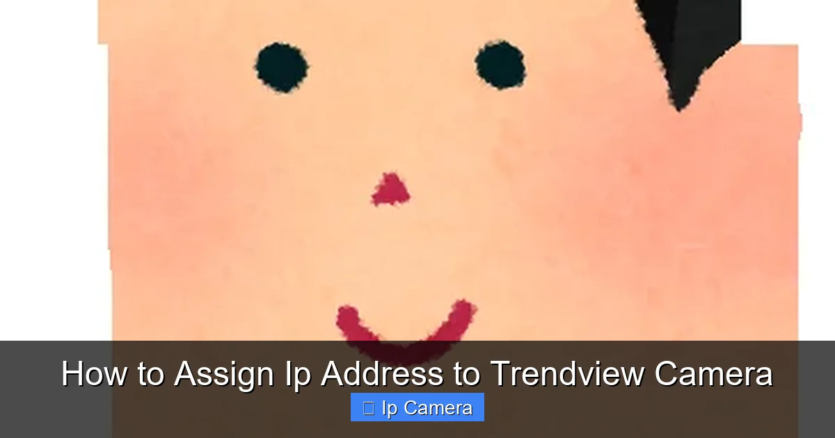 How to Assign Ip Address to Trendview Camera