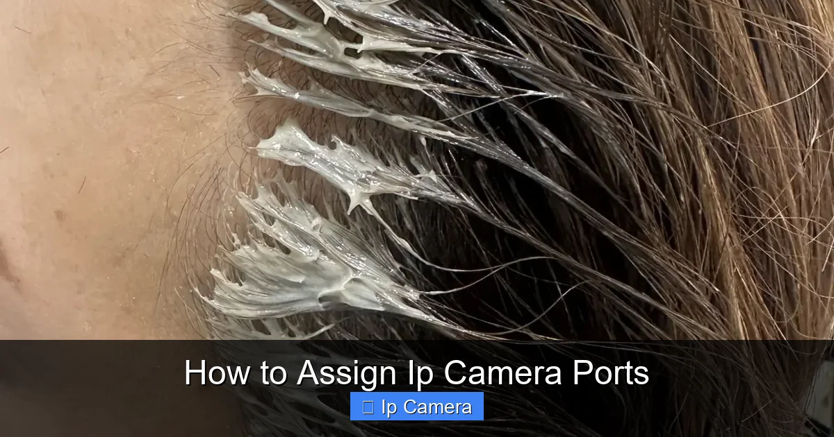 How to Assign Ip Camera Ports