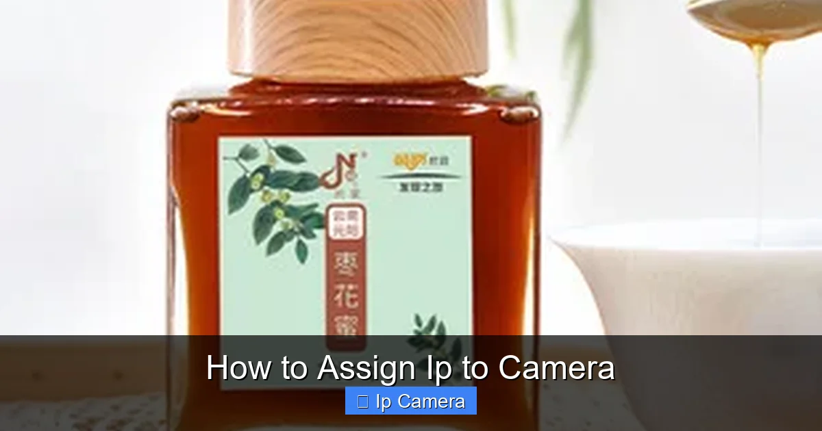 How to Assign Ip to Camera