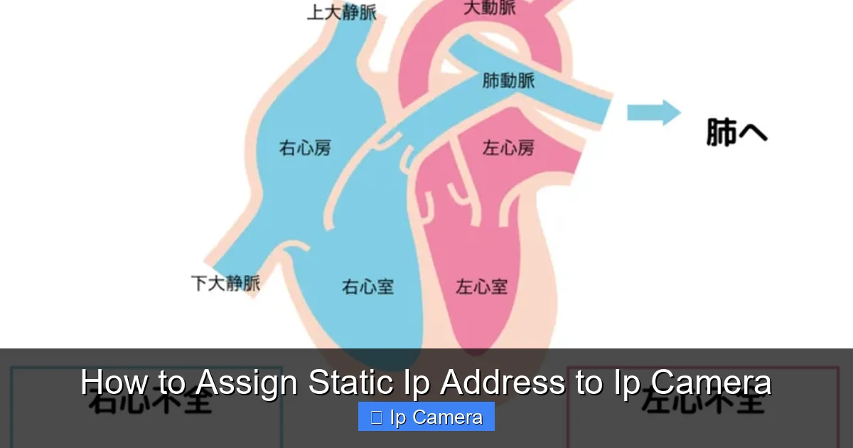 How to Assign Static Ip Address to Ip Camera