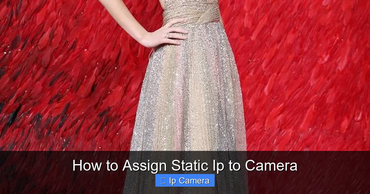 How to Assign Static Ip to Camera