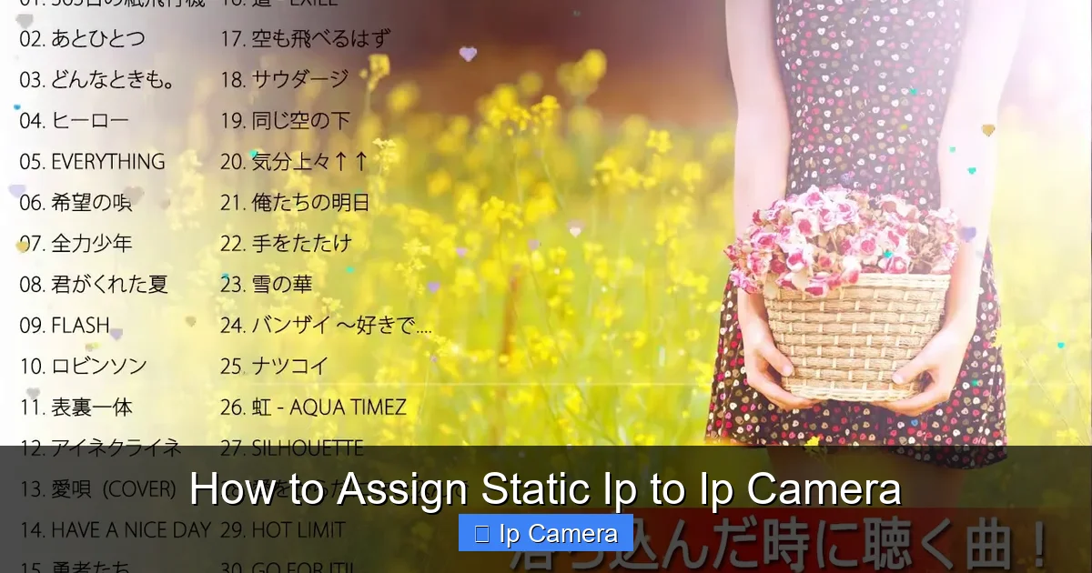 How to Assign Static Ip to Ip Camera