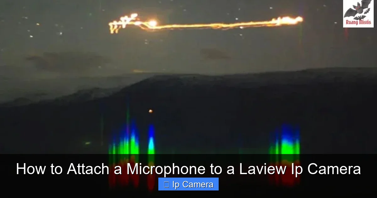 How to Attach a Microphone to a Laview Ip Camera