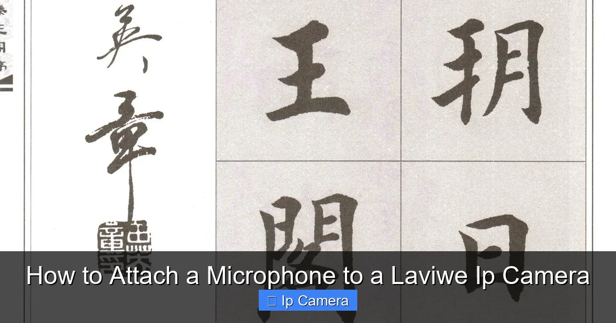 How to Attach a Microphone to a Laviwe Ip Camera