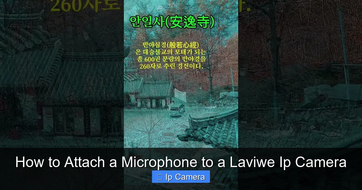 How to Attach a Microphone to a Laviwe Ip Camera