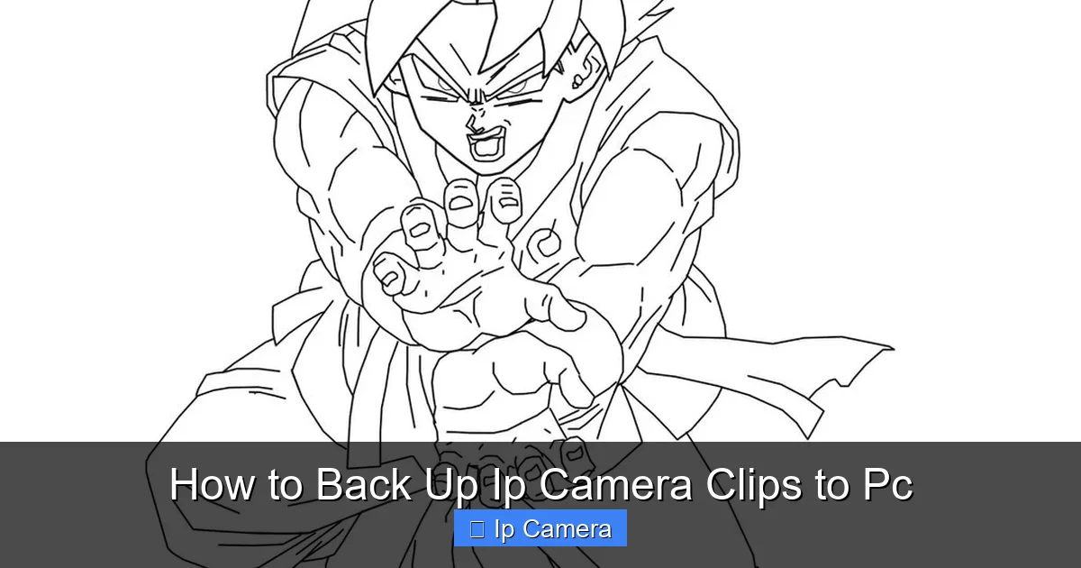 How to Back Up Ip Camera Clips to Pc